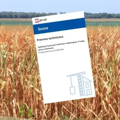 Jak działa aplikacja suszowa i jak uniknąć strat w uprawach