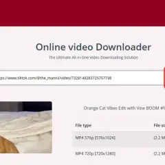 Jak ściągnąć film ze strony internetowej Chrome bez problemów?
