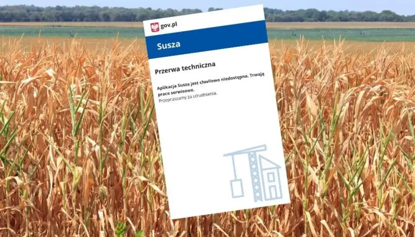 Jak działa aplikacja suszowa i jak uniknąć strat w uprawach