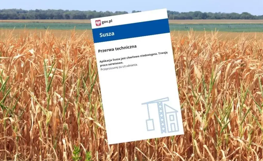 Jak działa aplikacja suszowa i jak uniknąć strat w uprawach